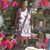 Luis Rodriguez's profile image