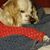 Nancy Quintavalle's profile image