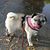 Sandra Kulchawick's profile image