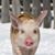 Sheila Fancher's profile image