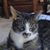 Helen Doty's profile image