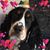 Pat Coulter's profile image