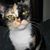 Charlene Tucker's profile image