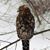 Margaret Curtin's profile image