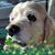 Rhonda Burnette's profile image