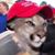Marshall Peck's profile image
