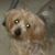 Ray Stafford's profile image