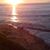Laurel Westlund's profile image
