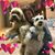 Mily Soto's profile image