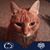 Debbie Harris's profile image