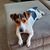Lynnda Clark's profile image