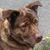 Jennifer Terry's profile image