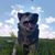 Garrett A. Schloss's profile image
