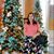Angel M Medina's profile image