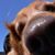 Steve Alexander's profile image