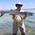 Art Landis's profile image