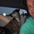 Daryl LePage's profile image