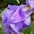 Kathy Nielsen's profile image