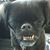 Toni McKay's profile image