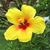 Tery Steelman's profile image