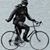 Shawn Kelly's profile image