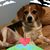 Karen Wilson Woodson's profile image