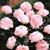 Patricia Galliway's profile image
