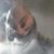 Eric Knipe's profile image