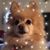 Elizabeth Moeller's profile image