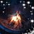 Maurene O'Brien Neal's profile image