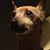 Mary Curtin's profile image