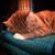 Melissa Ann Gumpert's profile image