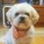 Grace Campbell's profile image