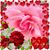 Penny Lundgren's profile image