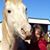 Ronda Hopman Willis's profile image
