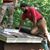 Tom Rosenberger's profile image