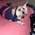 Holle Hanson-Zender's profile image