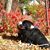 Erika McDonald's profile image
