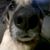 Debbie Kohl's profile image