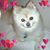 Kathi Stroud's profile image