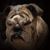 Jennifer Spangle's profile image