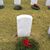 Michele Adams-Mizell's profile image