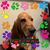 Nancy Friess's profile image