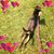 Brenda Laski Modglin's profile image