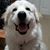 Victor Varieur's profile image