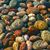 Lynn Shewmake's profile image