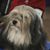 Sherri Forbes's profile image