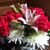 Janis Lange's profile image