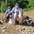 C Jean Beatty's profile image
