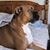 Herb Hoover's profile image